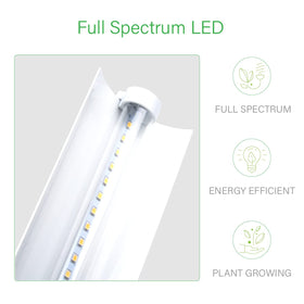 iGrowtek full-spectrum LED light delivers balanced white light for indoor plant growth