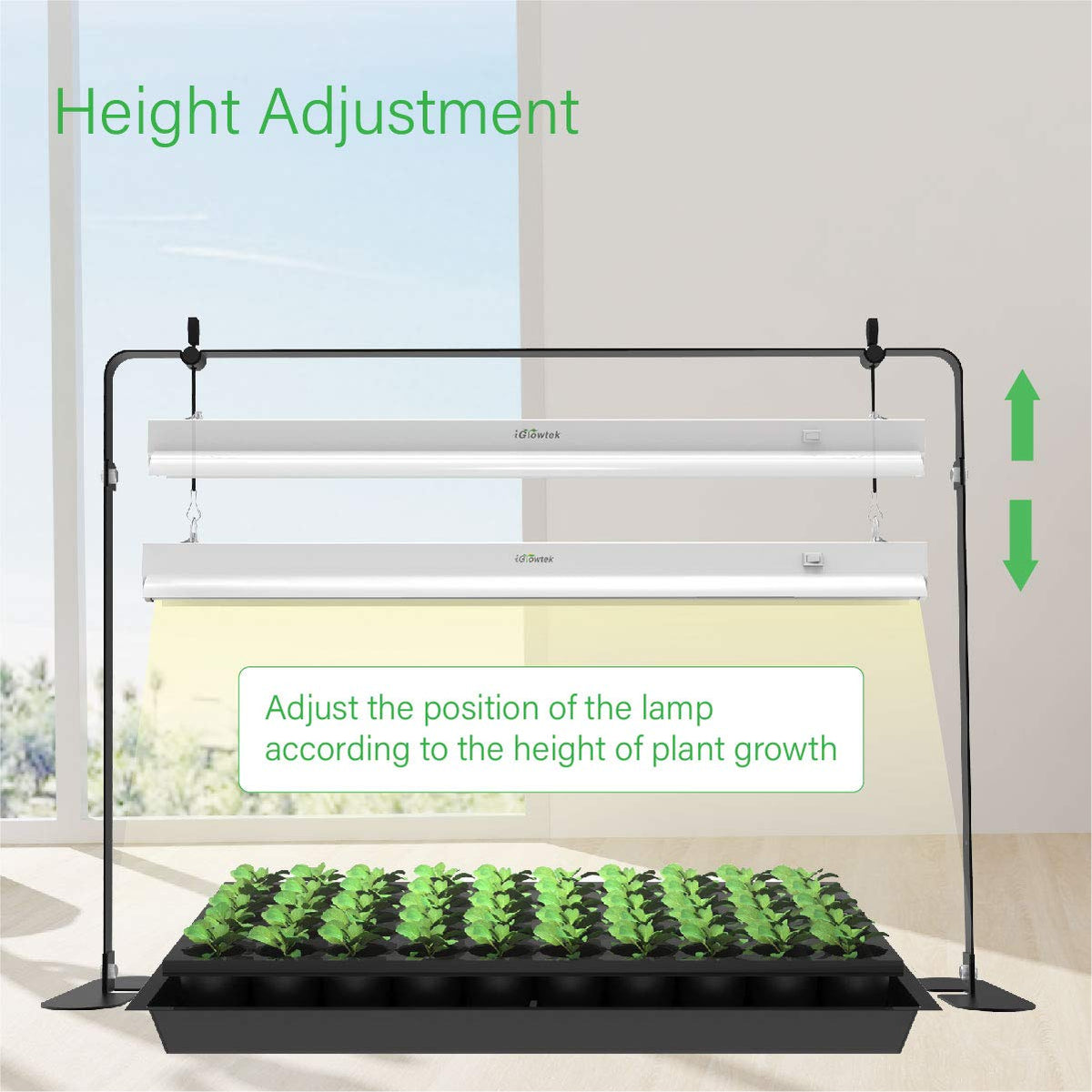 iGrowtek white-spectrum grow light provides eye-friendly illumination