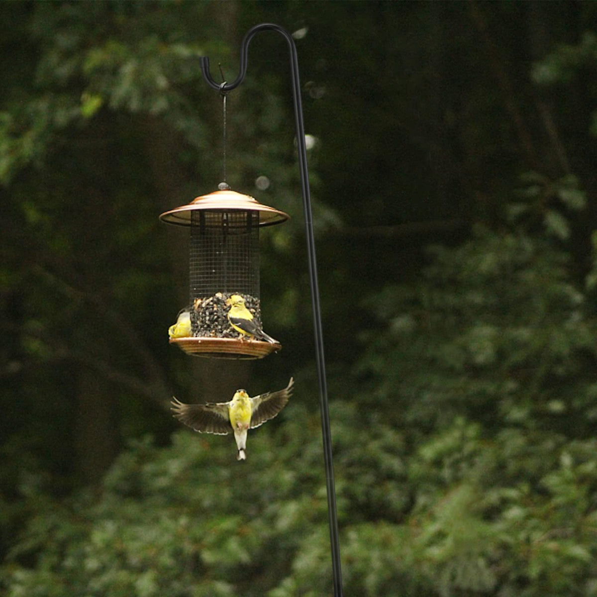 Ihomepark outdoor pole ideal for hanging lights or decor securely