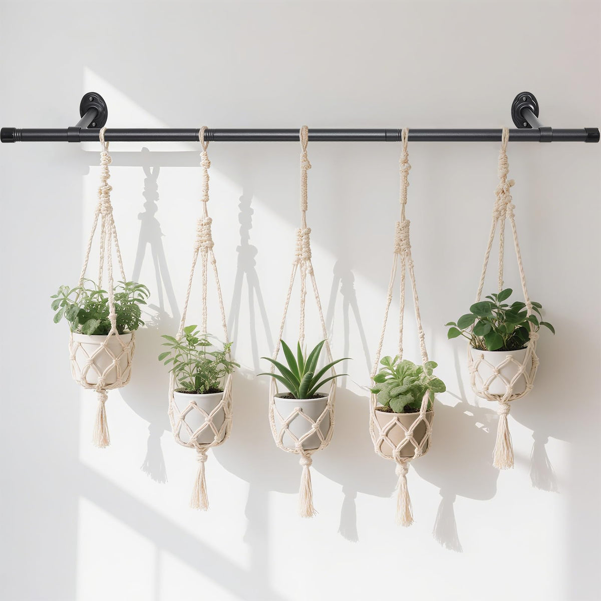 Ihomepark 44-5 inch plant hanging rod in black displays vertical greenery for space-saving indoor gardening.