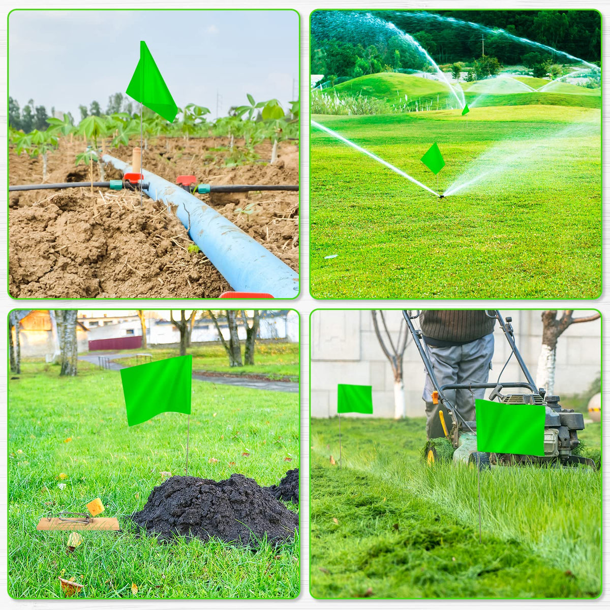 IKAYAS flags for dog training in the yard with high visibility