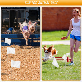IKAYAS dog training flags help outline yard boundaries