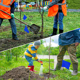 IKAYAS marking flags in yard for boundary and layout planning.