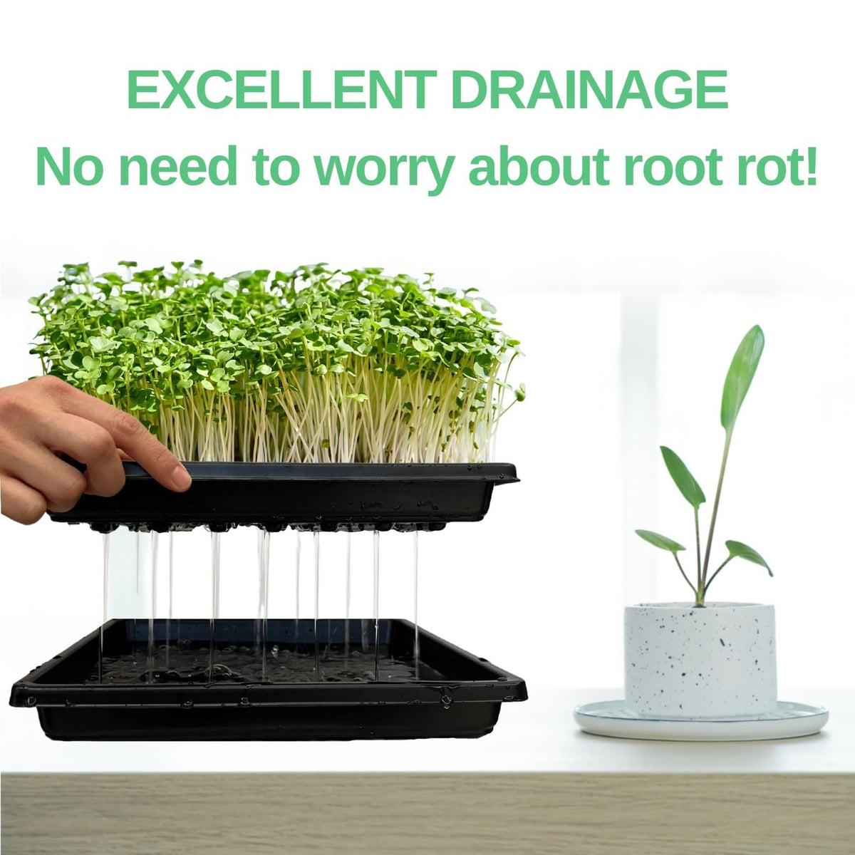 ILITING 1010 square tray - durable, year-after-year use.
