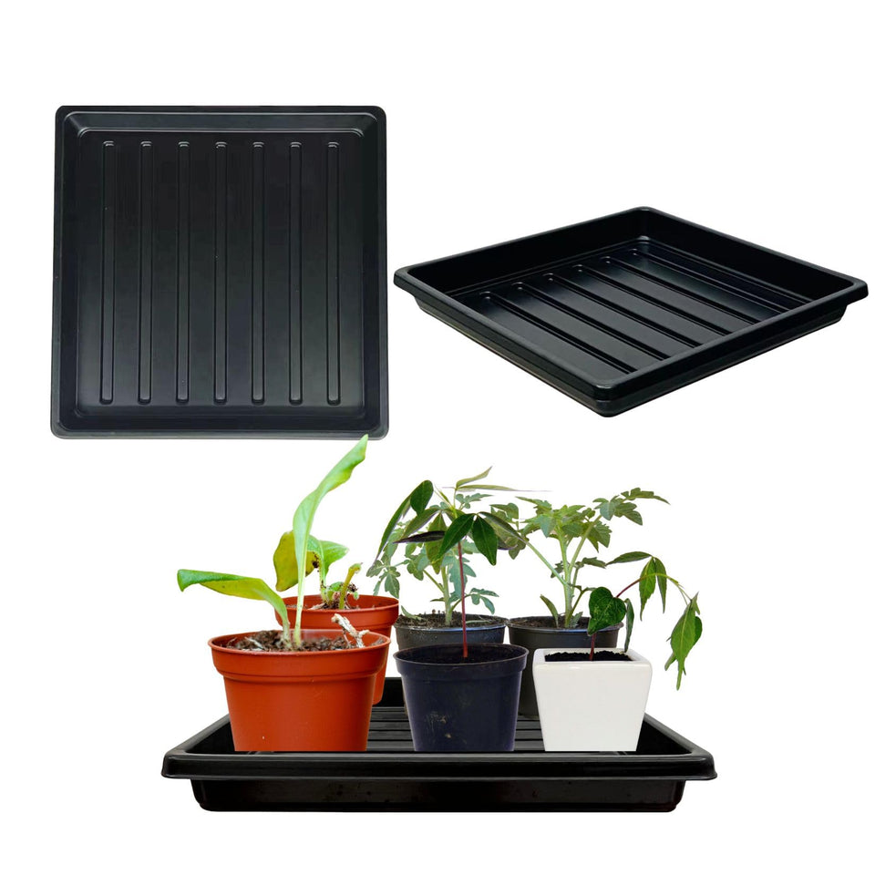 ILITING 1010 square tray without holes for balcony seedling germination