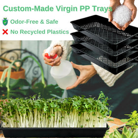 ILITING 1020 mesh tray in use with wheatgrass demonstrates practical irrigation