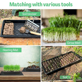ILITING mesh tray used for soil and hydroponics, versatile growing solution.