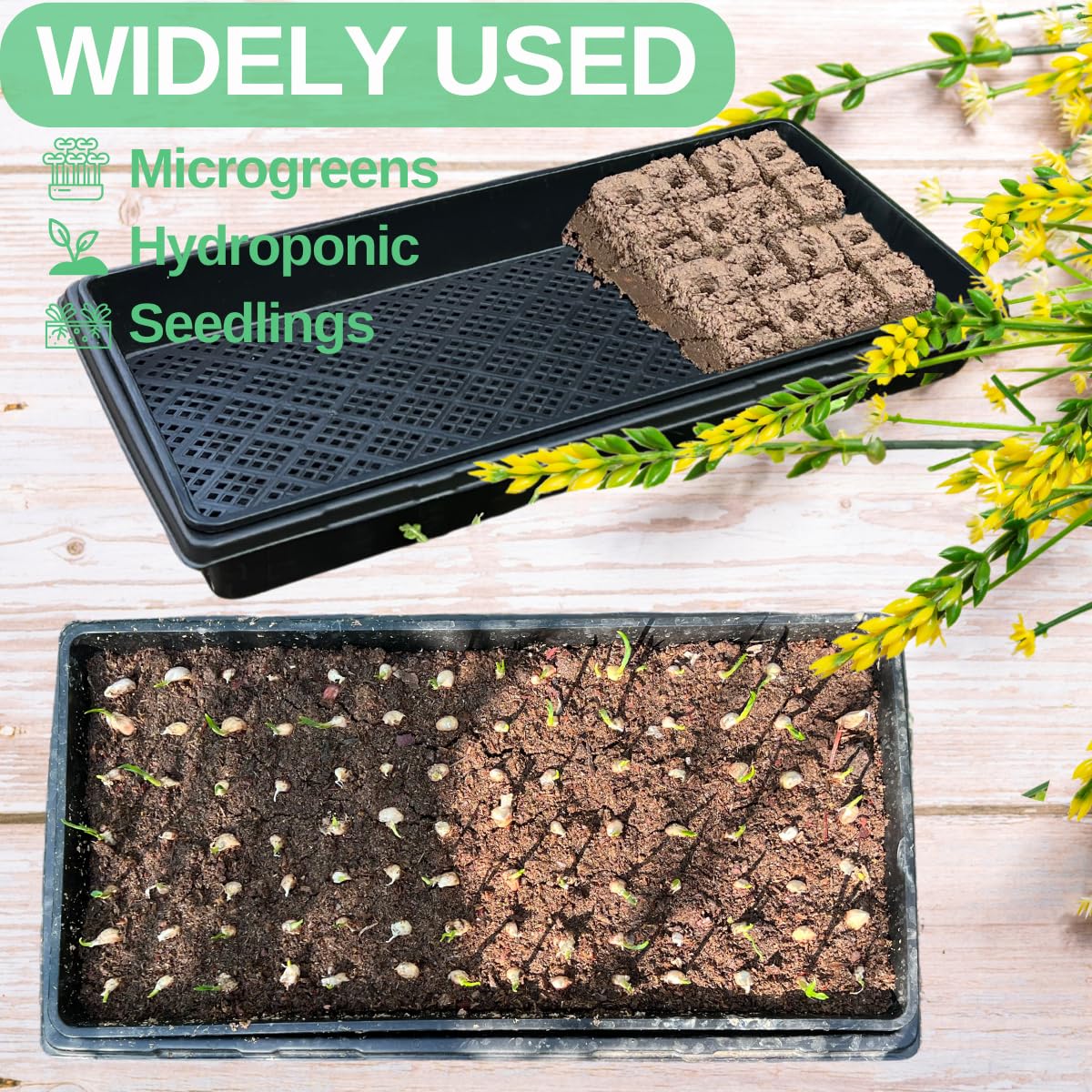 ILITING mesh trays designed for optimized germination and air circulation