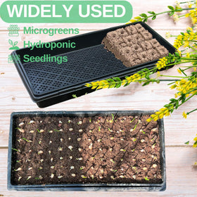 ILITING mesh trays designed for optimized germination and air circulation