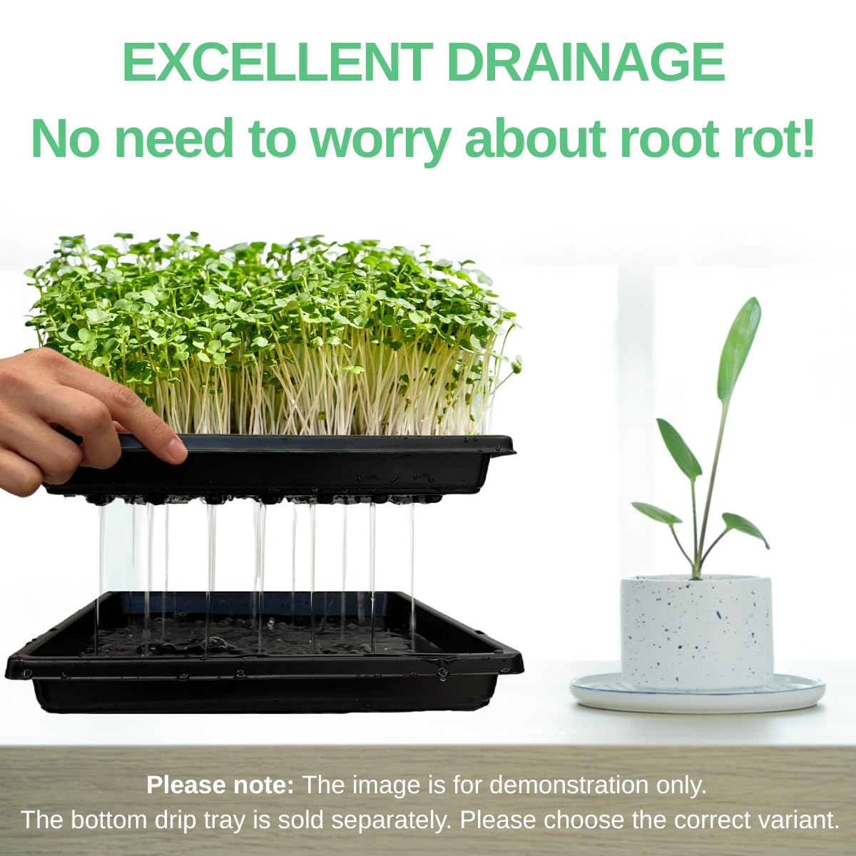 ILITING no-hole tray variant demonstrates flexible use with or without drainage.