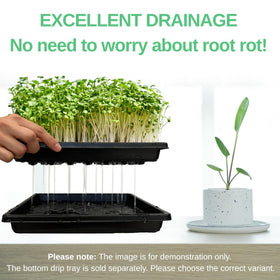 ILITING no-hole tray variant demonstrates flexible use with or without drainage.