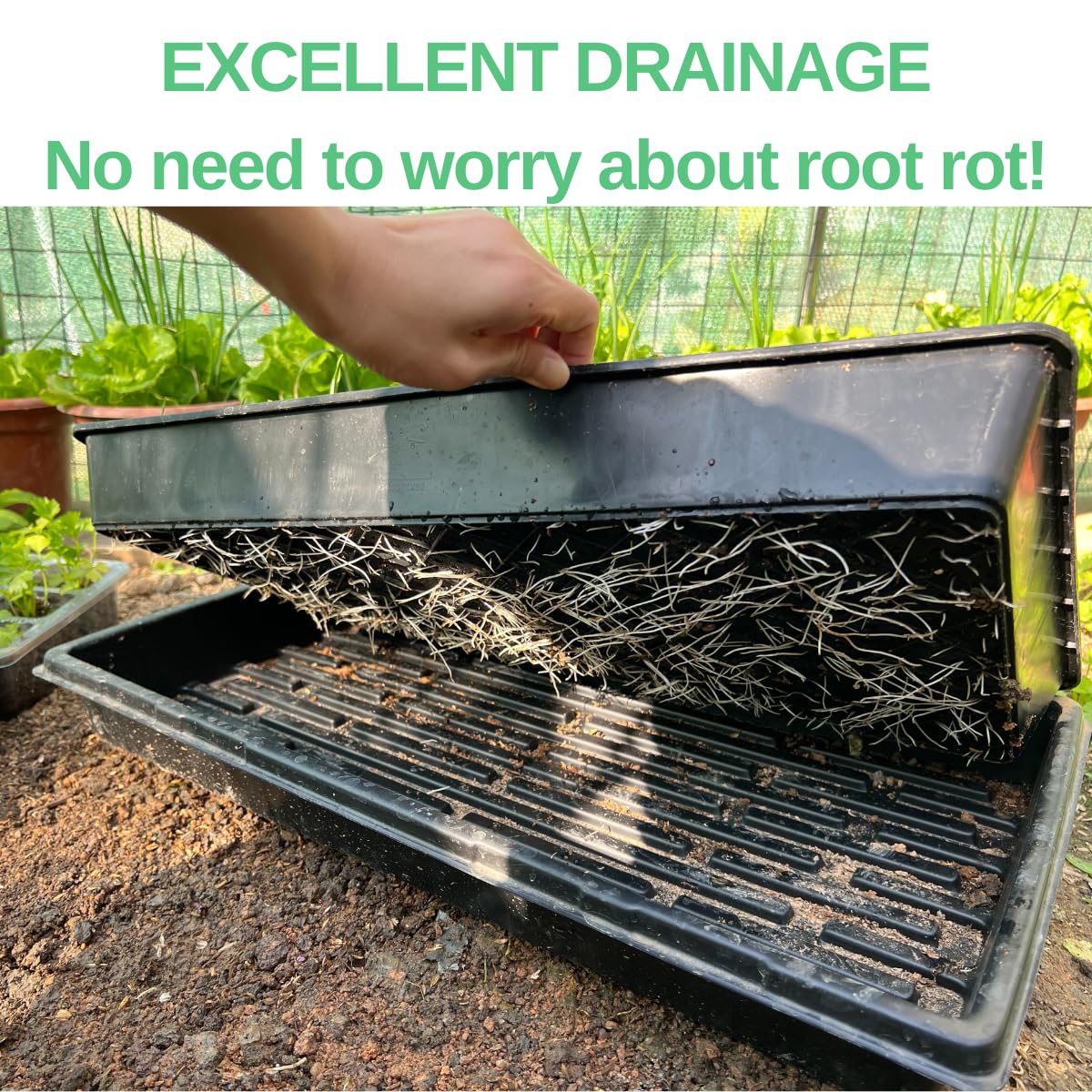 ILITING seed-starting trays set ideal for germination and transplant readiness