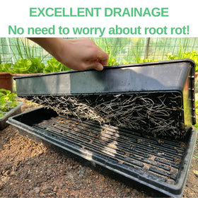 ILITING seed-starting trays set ideal for germination and transplant readiness
