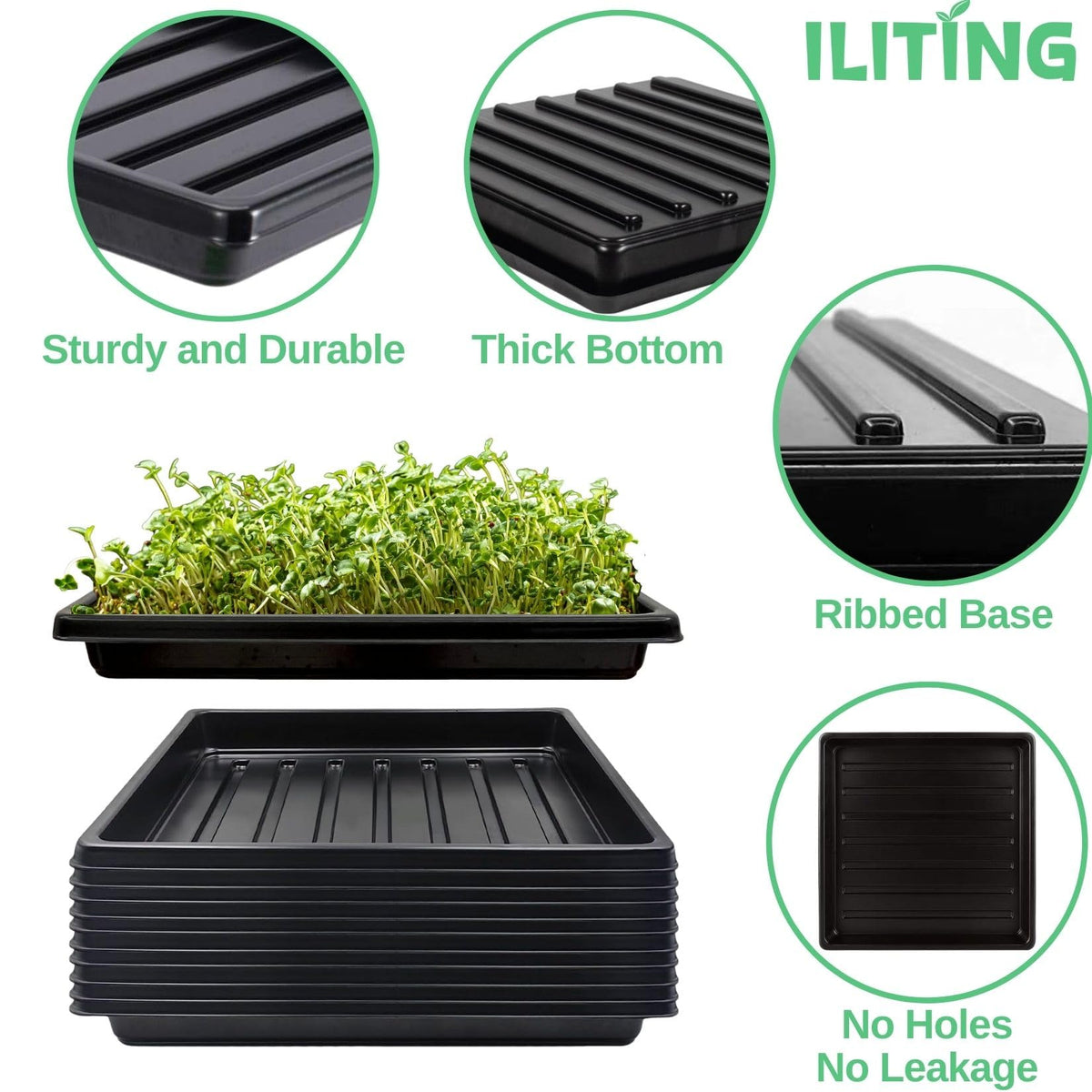 ILITING shallow tray suitable for germination and wheatgrass on balcony