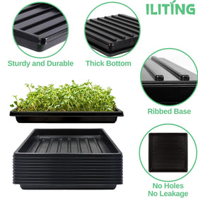 ILITING shallow tray suitable for germination and wheatgrass on balcony