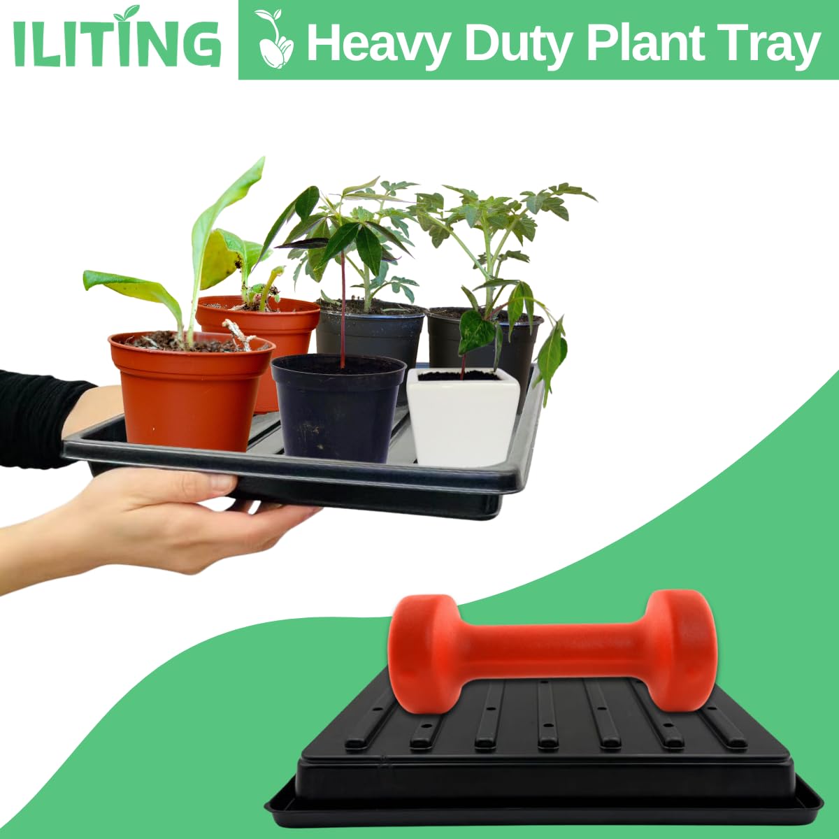 ILITING shallow planting tray side view highlighting shallow depth for delicate roots.