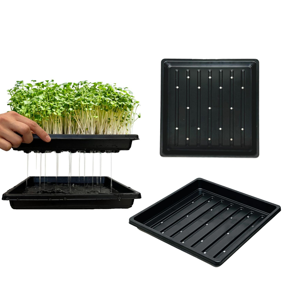 ILITING standard 1010 seedling tray top view for organized germination spaces.