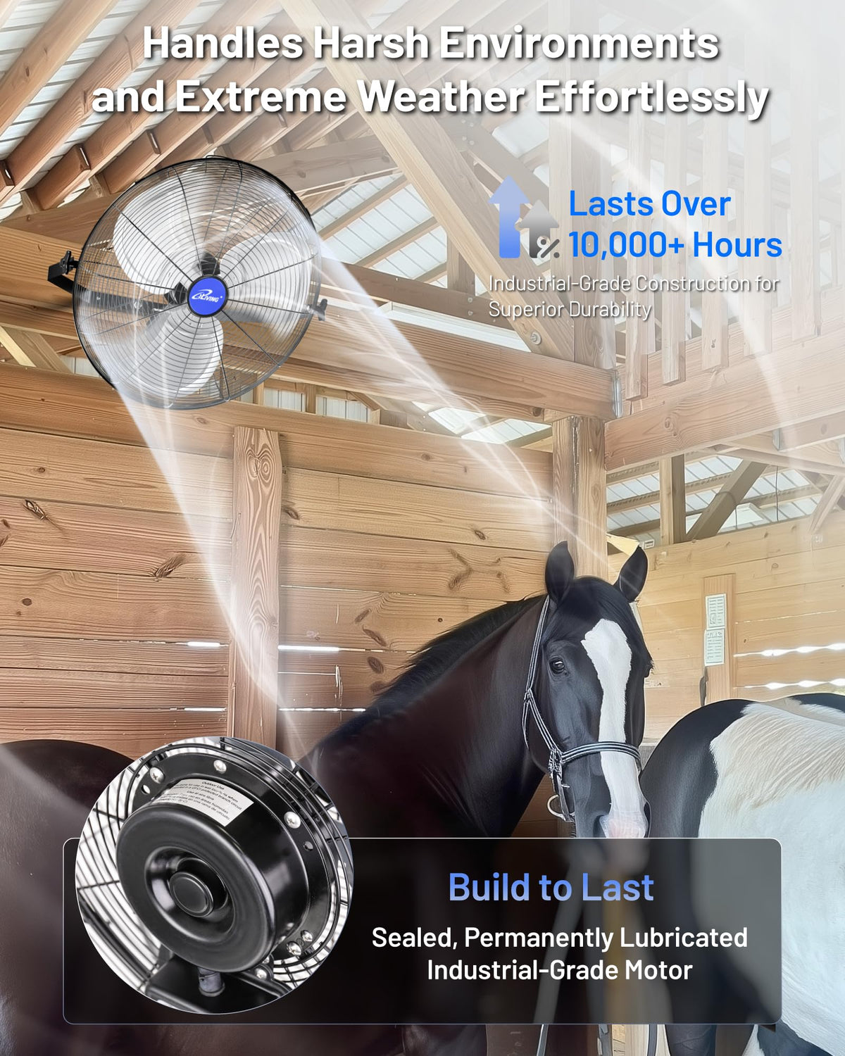 ETL-listed iLiving cooling fan with reliable support