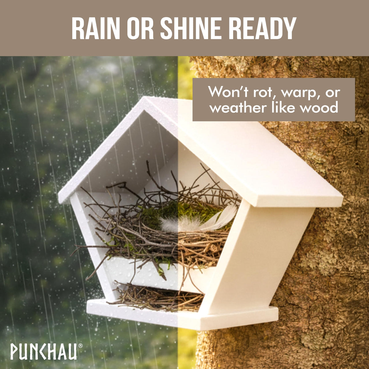 Easy-clean surface of Ilyapa Punchau nesting box for quick maintenance.