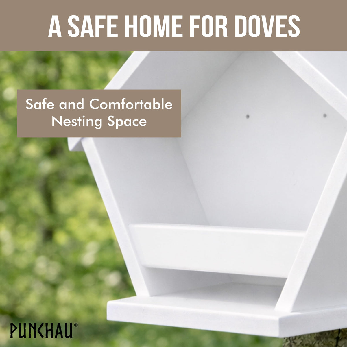 Spacious interior of Ilyapa Punchau nest box suitable for doves.