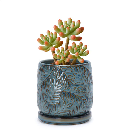 D'vine Dev 4-Inch Embossed Leaves Stoneware Planter Pot – Ocean Teal, Drainage Hole & Saucer (27-A-Z-8)