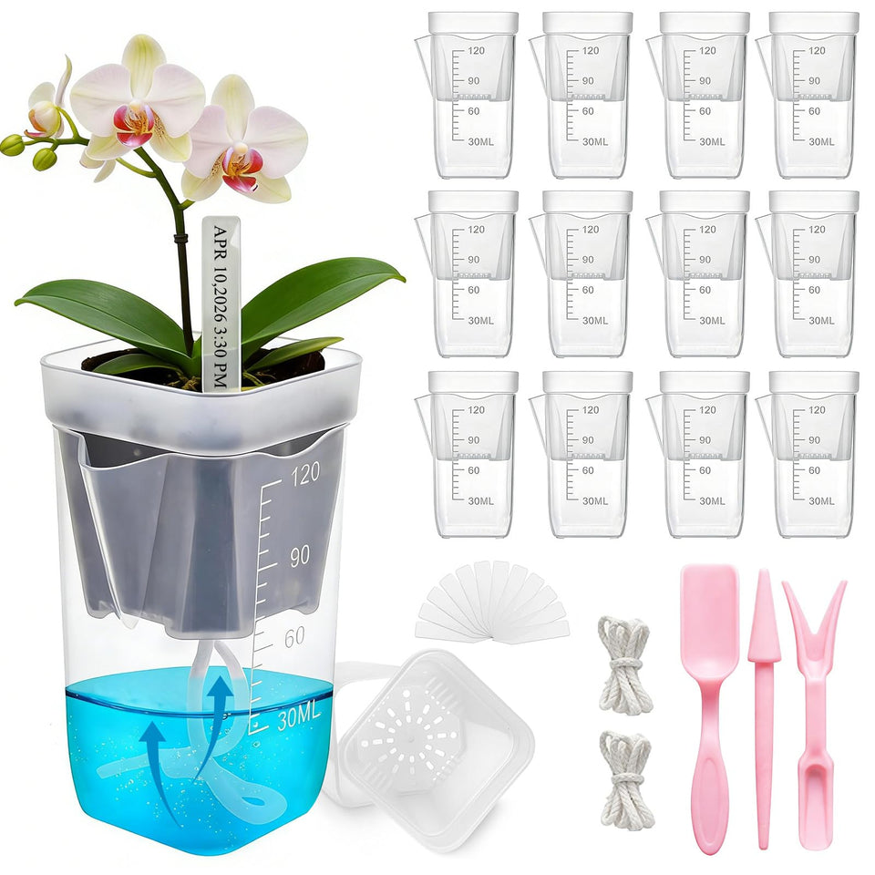 HITOSTAR 12-Pack 2-Inch Clear Self-Watering Pots for Indoor Plants