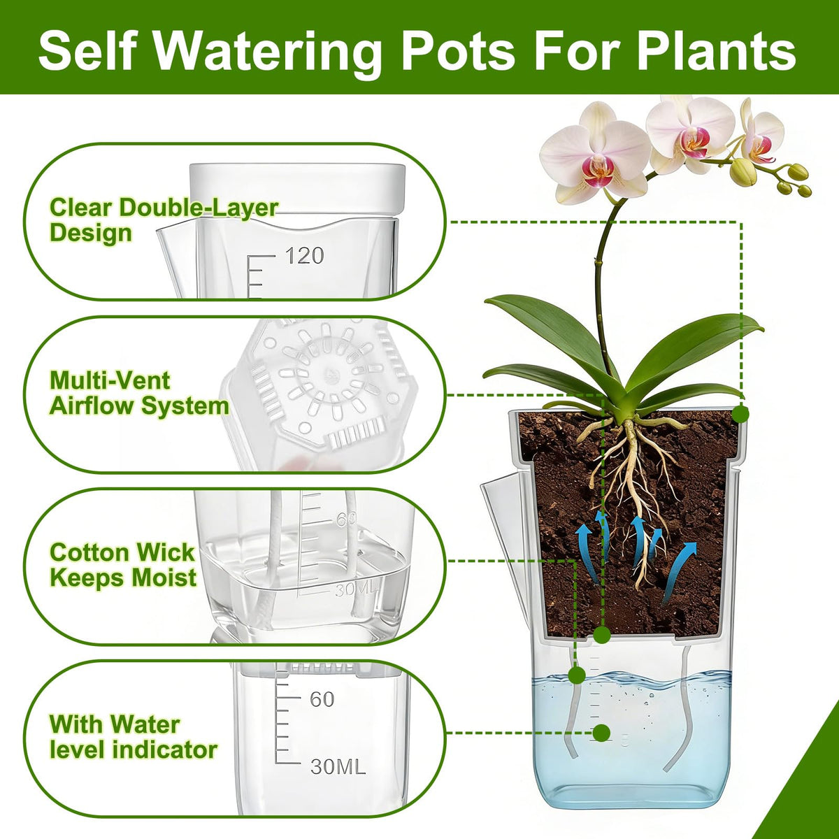 HITOSTAR 12-Pack 2-Inch Clear Self-Watering Pots for Indoor Plants
