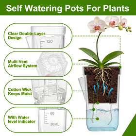 HITOSTAR 12-Pack 2-Inch Clear Self-Watering Pots for Indoor Plants