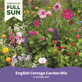 BloomingBulb Seed Mat – Easy Planting for Fragrant English Cottage Gardens