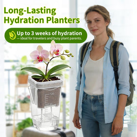 HITOSTAR 12-Pack 2-Inch Clear Self-Watering Pots for Indoor Plants