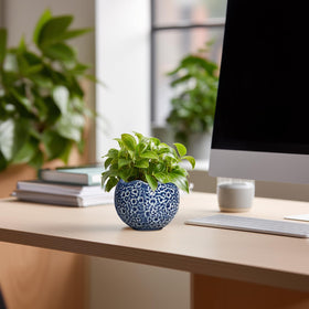 Thirtypot 4-Inch Moon-Design Ceramic Plant Pot with Drainage Hole - Blue | Indoor & Outdoor Decor