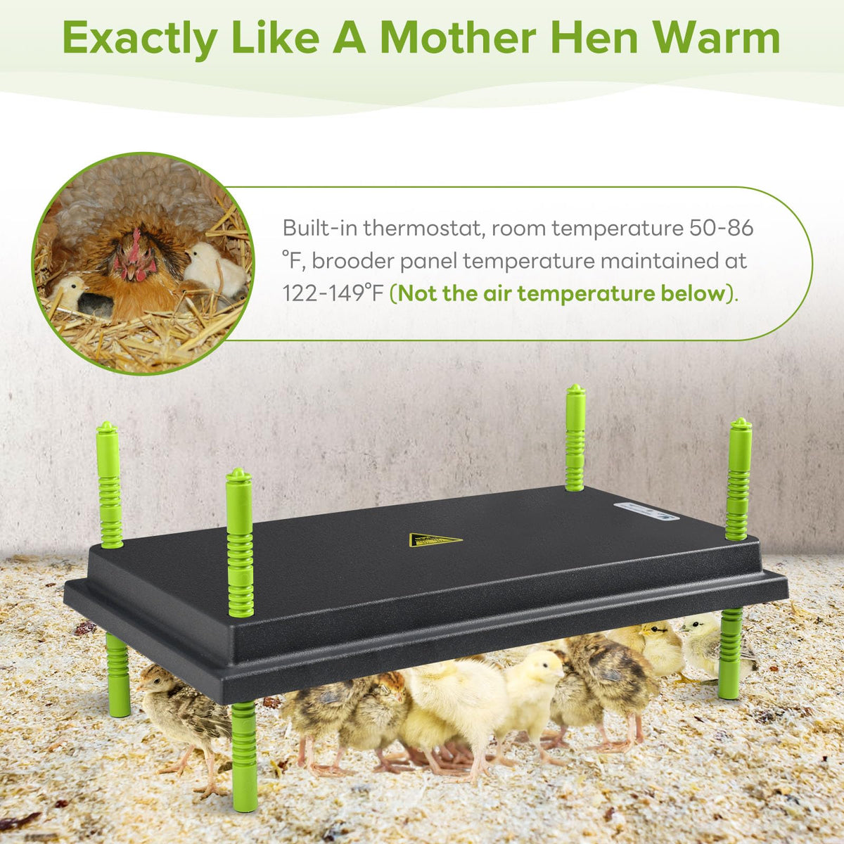 Tetuga Chick Brooder Heating Plate -16 x 22 Inch Chicken Brooder Heater Plate for Chicks with Adjustable Height & Angle - 50W Safer Than Brooder Lamp Warms Up to 50 Chicks