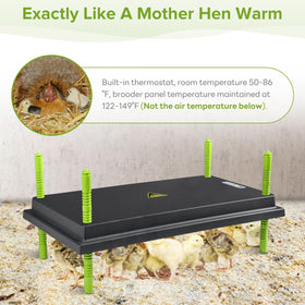 Tetuga Chick Brooder Heating Plate -16 x 22 Inch Chicken Brooder Heater Plate for Chicks with Adjustable Height & Angle - 50W Safer Than Brooder Lamp Warms Up to 50 Chicks