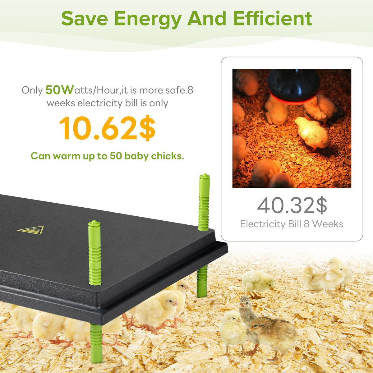 Tetuga Chick Brooder Heating Plate -16 x 22 Inch Chicken Brooder Heater Plate for Chicks with Adjustable Height & Angle - 50W Safer Than Brooder Lamp Warms Up to 50 Chicks