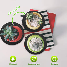 Patelai cork plant coaster 10 inch large pad protects furniture while hosting bigger pots
