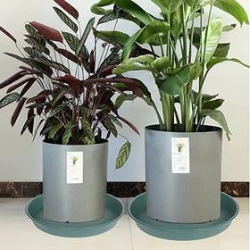 Bleuhome matte-finish exterior saucer complements modern planters