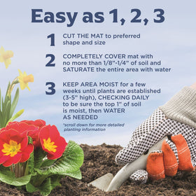 BloomingBulb Seed Mat – Easy Planting for Fragrant English Cottage Gardens