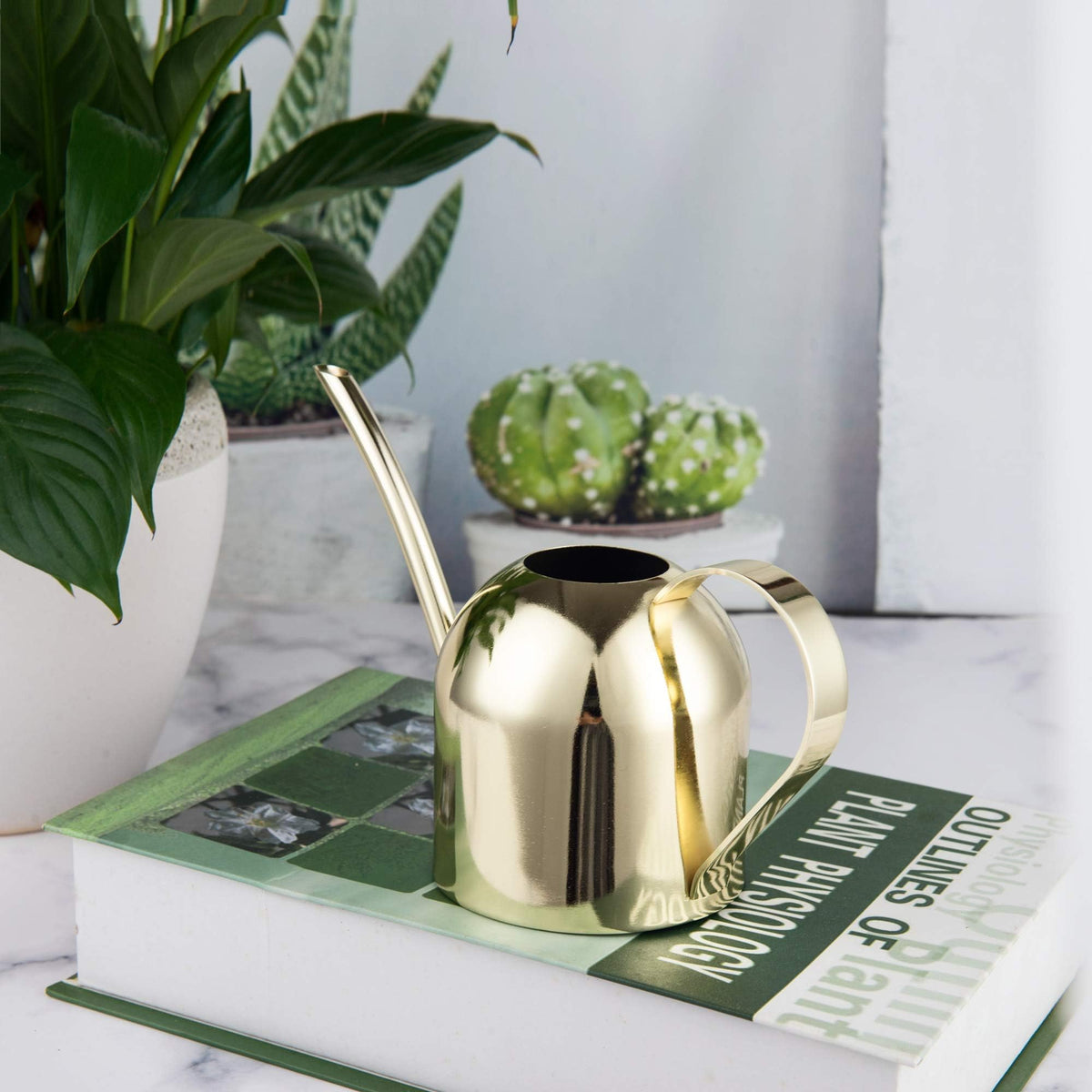 IMEEA Gold Watering Can beside a bonsai for careful irrigation
