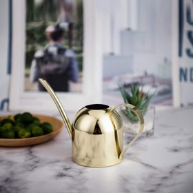 IMEEA Gold Watering Can gold finish detail adding modern style