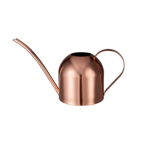 IMEEA indoor watering can with long spout delivers precise water to houseplants