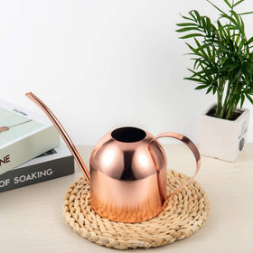 IMEEA stable stainless steel body reduces spills during precise watering