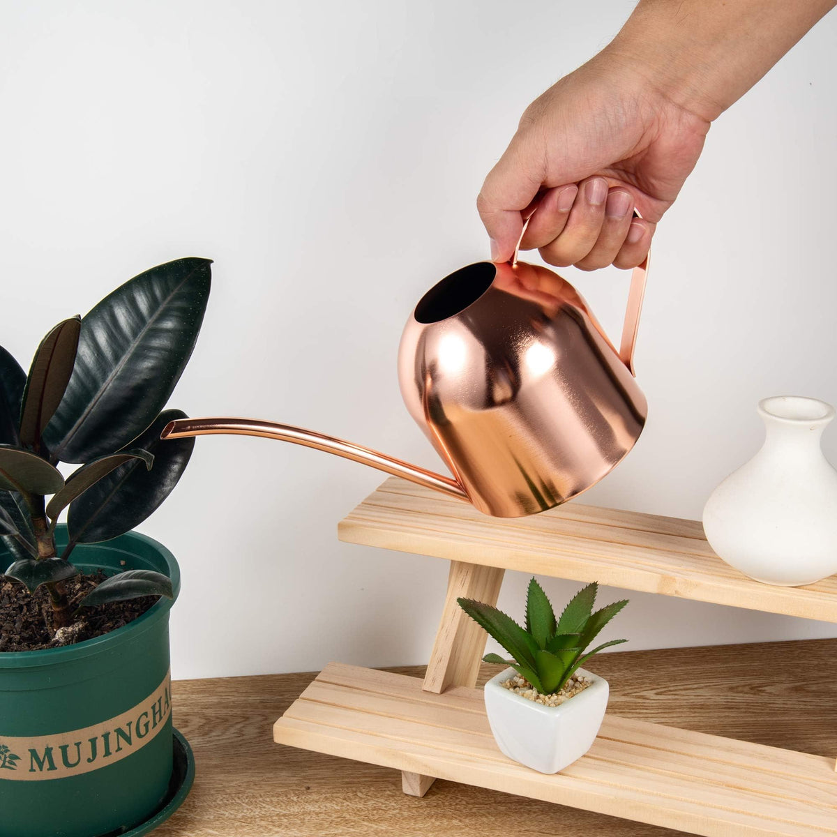 IMEEA succulent-friendly can for targeted watering under leaves and roots