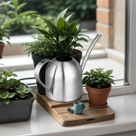 IMEEA long-spout pour directs water to root zone of potted plants.
