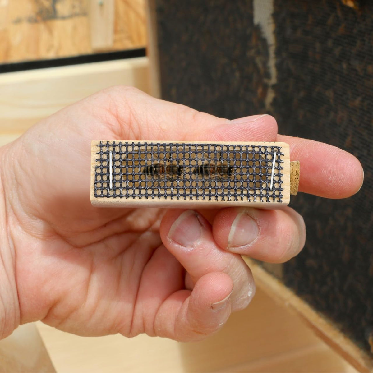 IMIKEYA cage dimensions 6x2x2 cm for hive planning