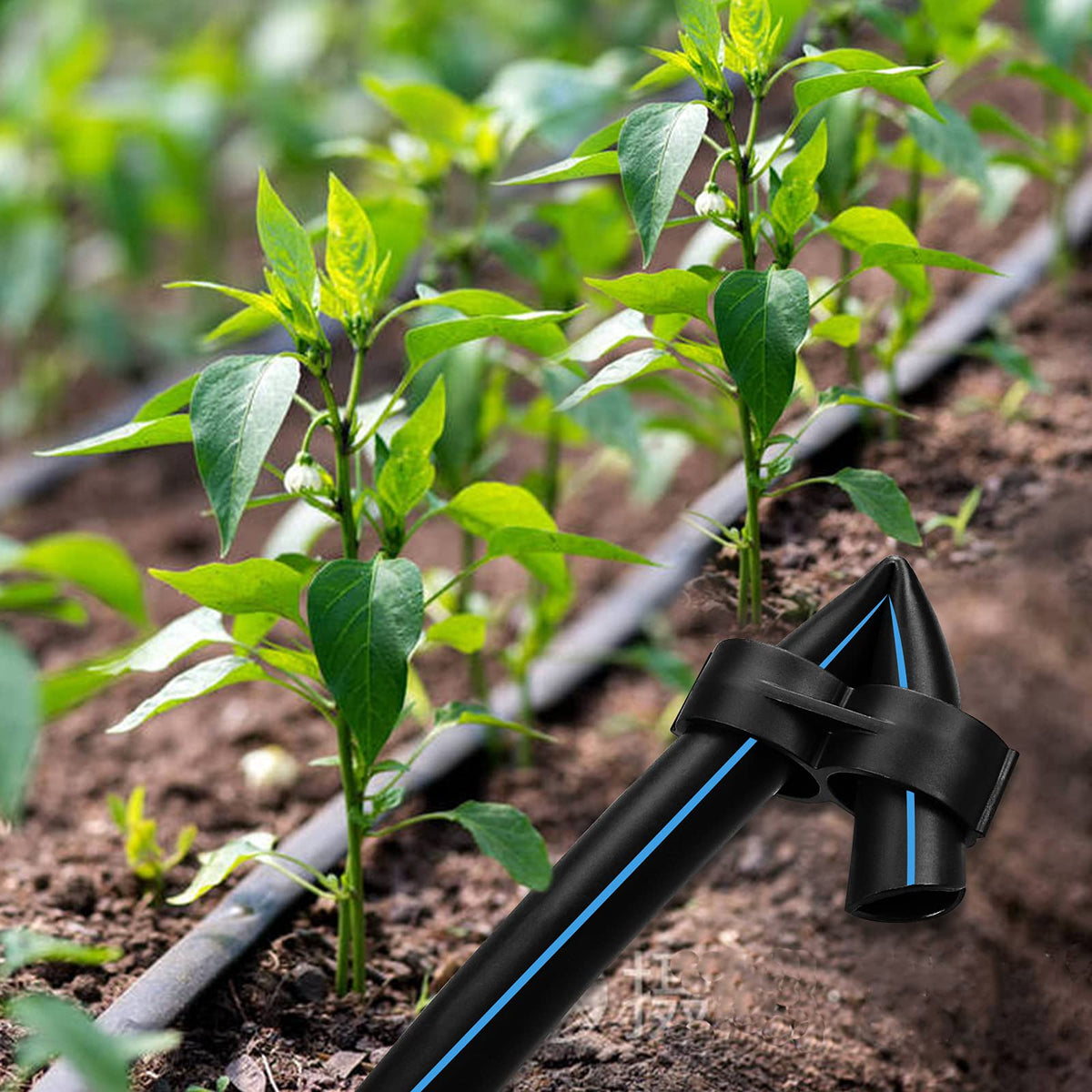 iMopo drip irrigation end cap kit for garden beds pots and patios