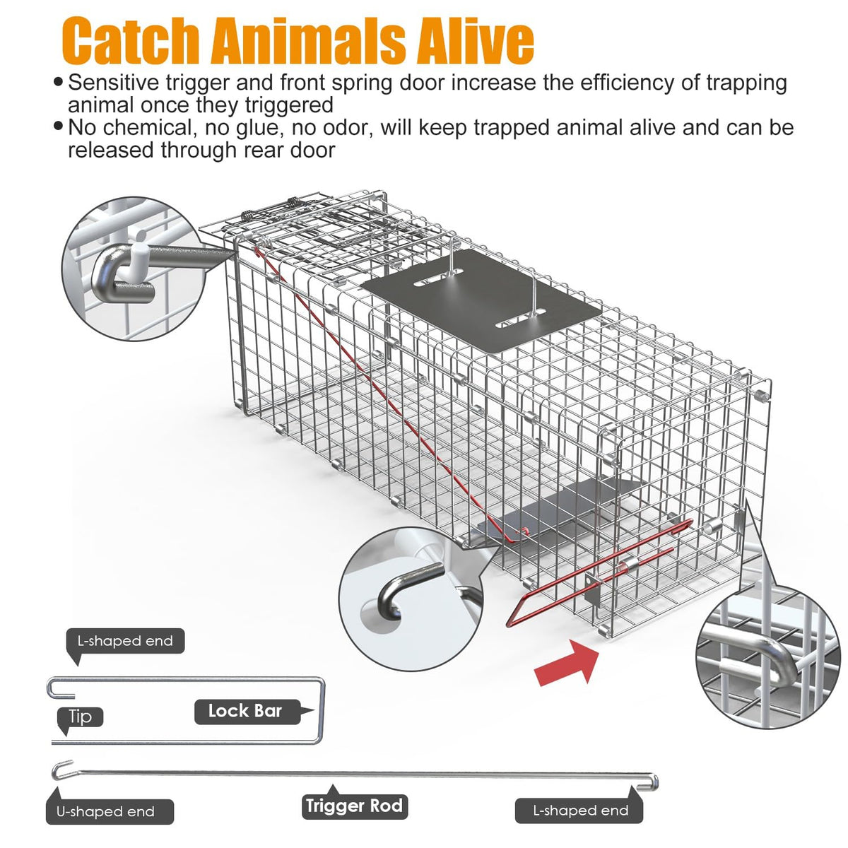 Collapsible cage design saves space when stored or transported.