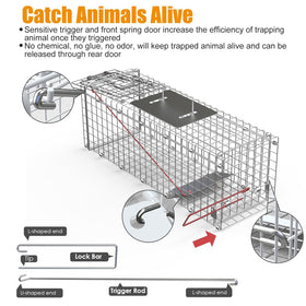 Collapsible cage design saves space when stored or transported.