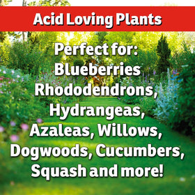 IMUSTGARDEN 5lb shaker jar shown on a bench for easy soil conditioning.