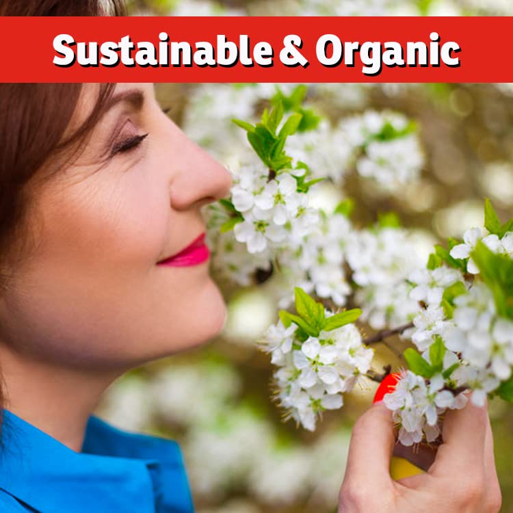 IMUSTGARDEN acid-loving plants respond to optimized soil acidity.