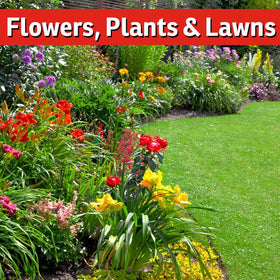 IMUSTGARDEN Garlic Block forms a broad pest barrier against common invaders.